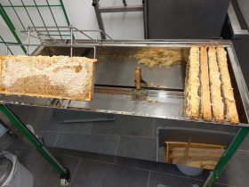 Bio-Honiggewinnung Bio-Honiggewinnung